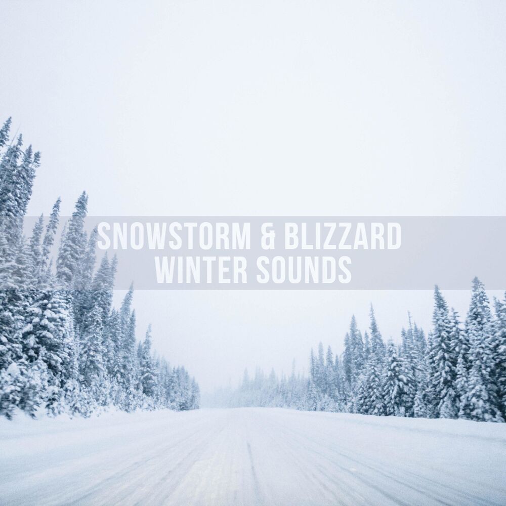 Picture of Snowstorm Blizzard