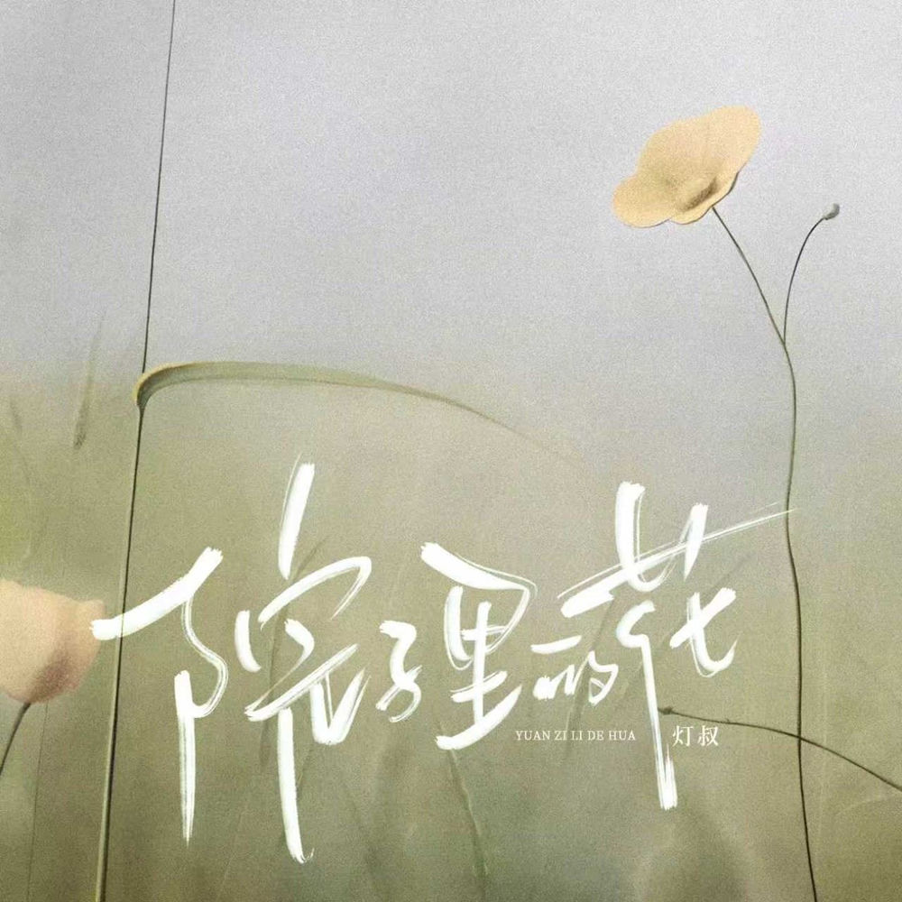 灯叔