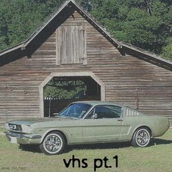 D.H_hspz