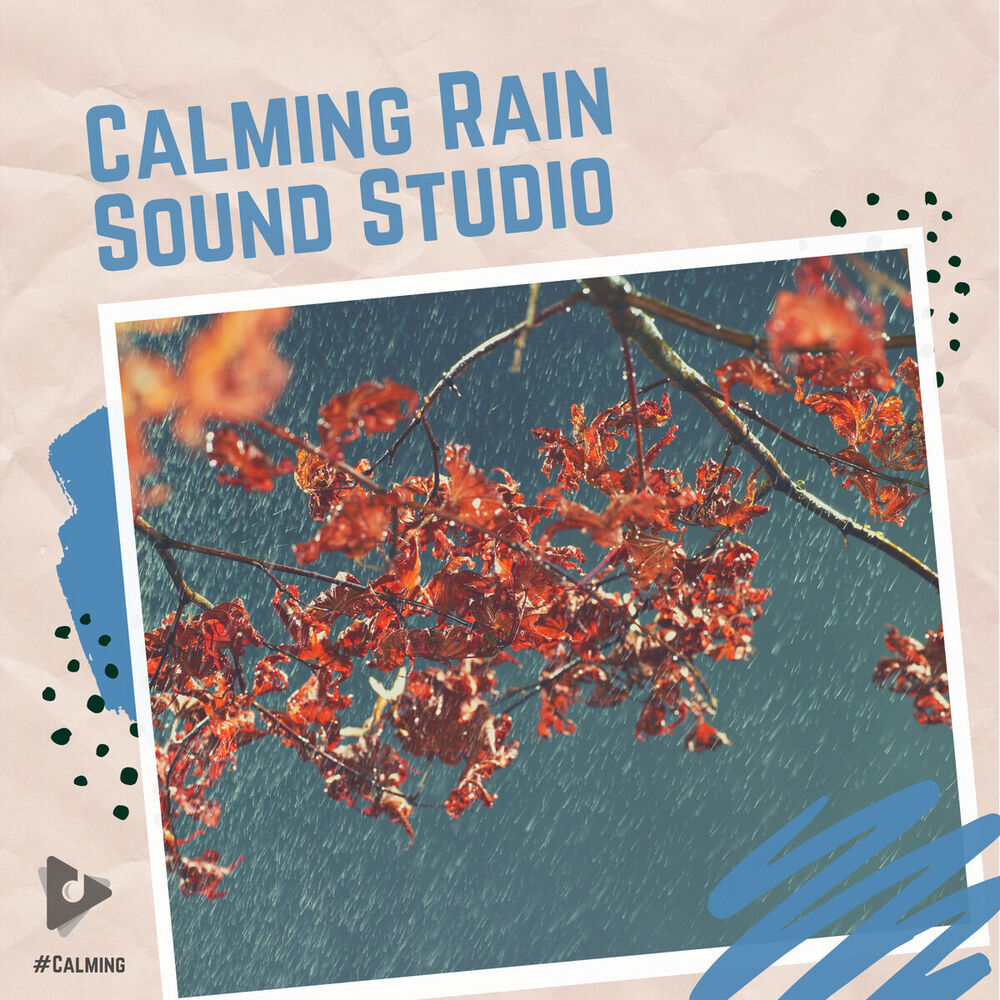 Picture of Rain Sound Studio