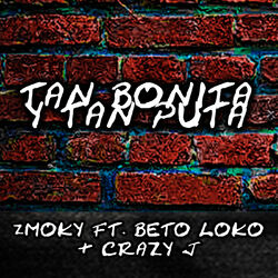 Picture of Zmoky