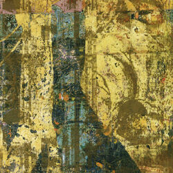 Picture of Disjecta
