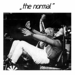 Picture of The Normal
