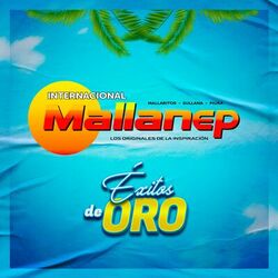 Picture of Internacional Mallanep