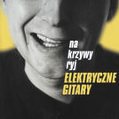 Elektryczne Gitary