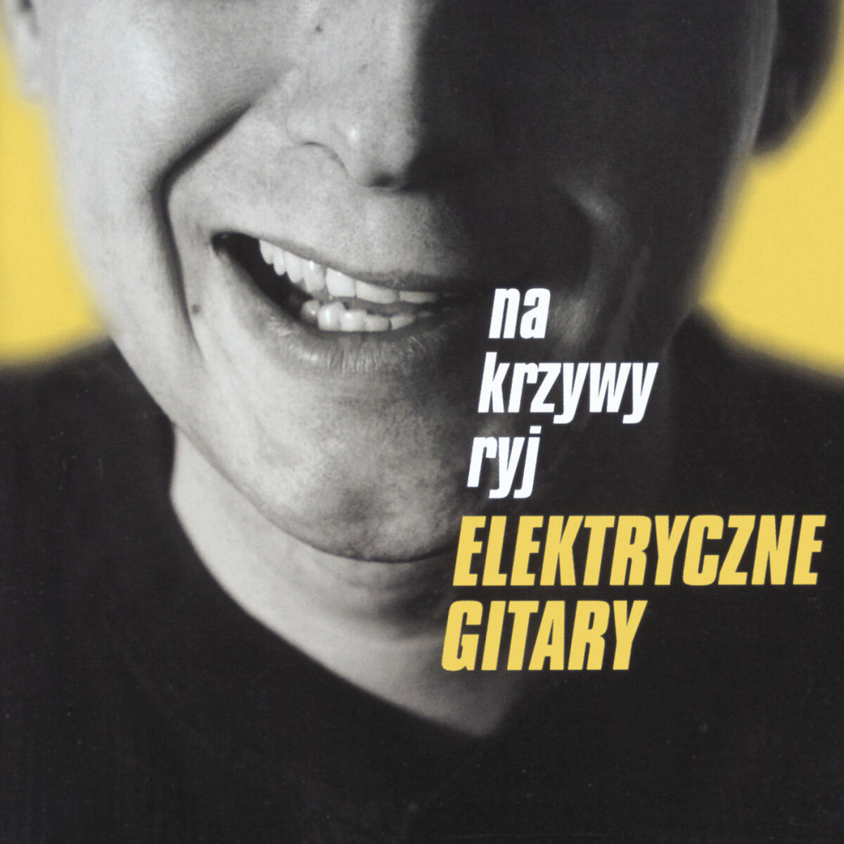 Elektryczne Gitary