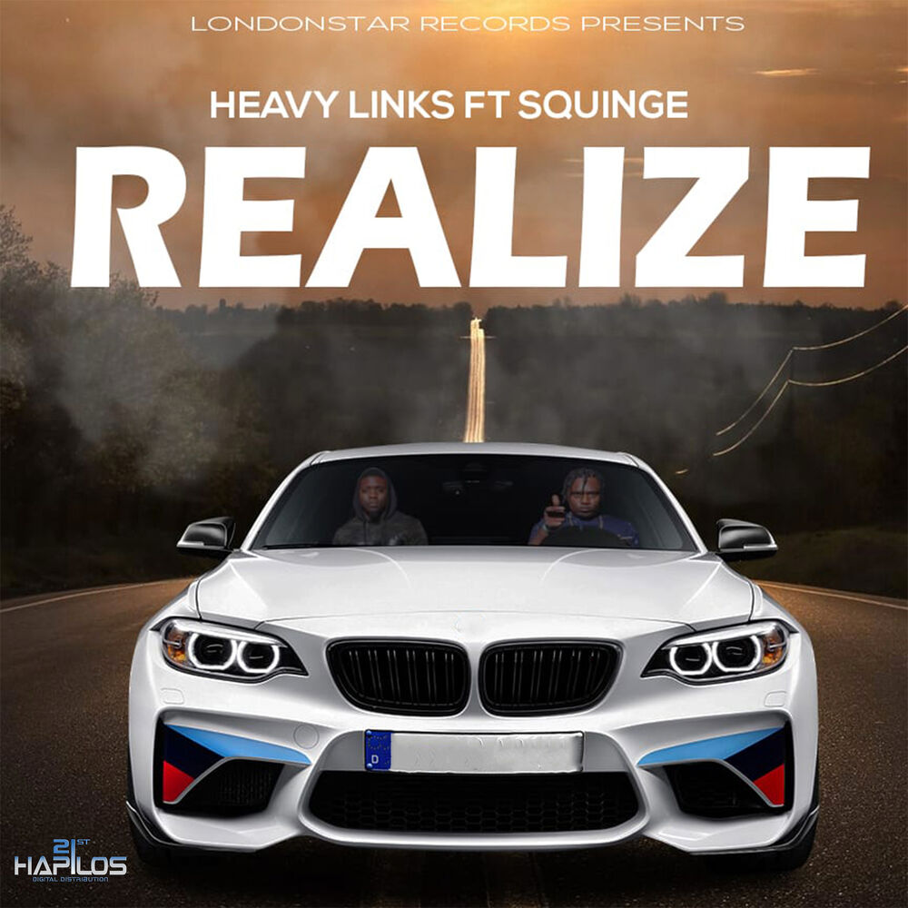 Picture of Heavy Links