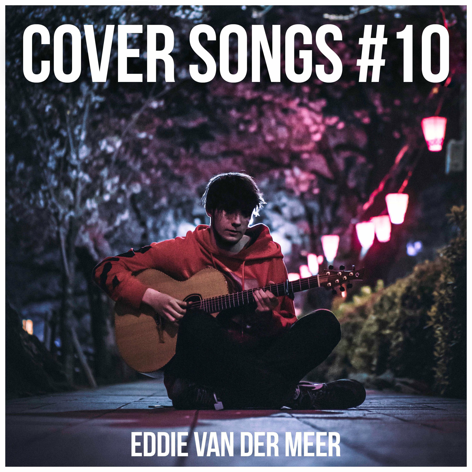 Eddie van der Meer