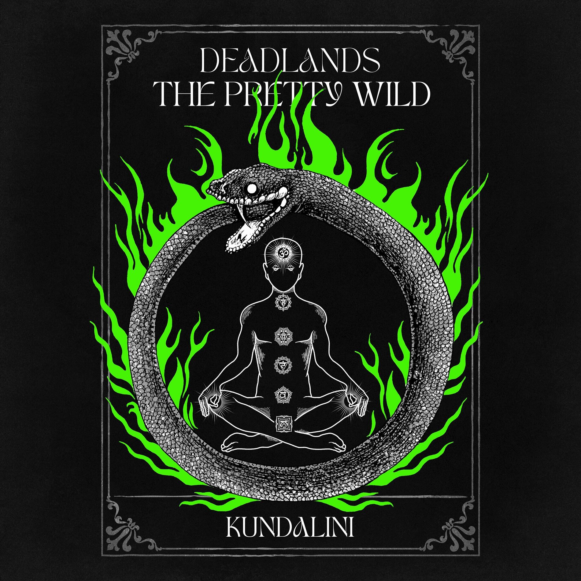 The Pretty Wild