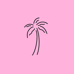 Picture of High Fade