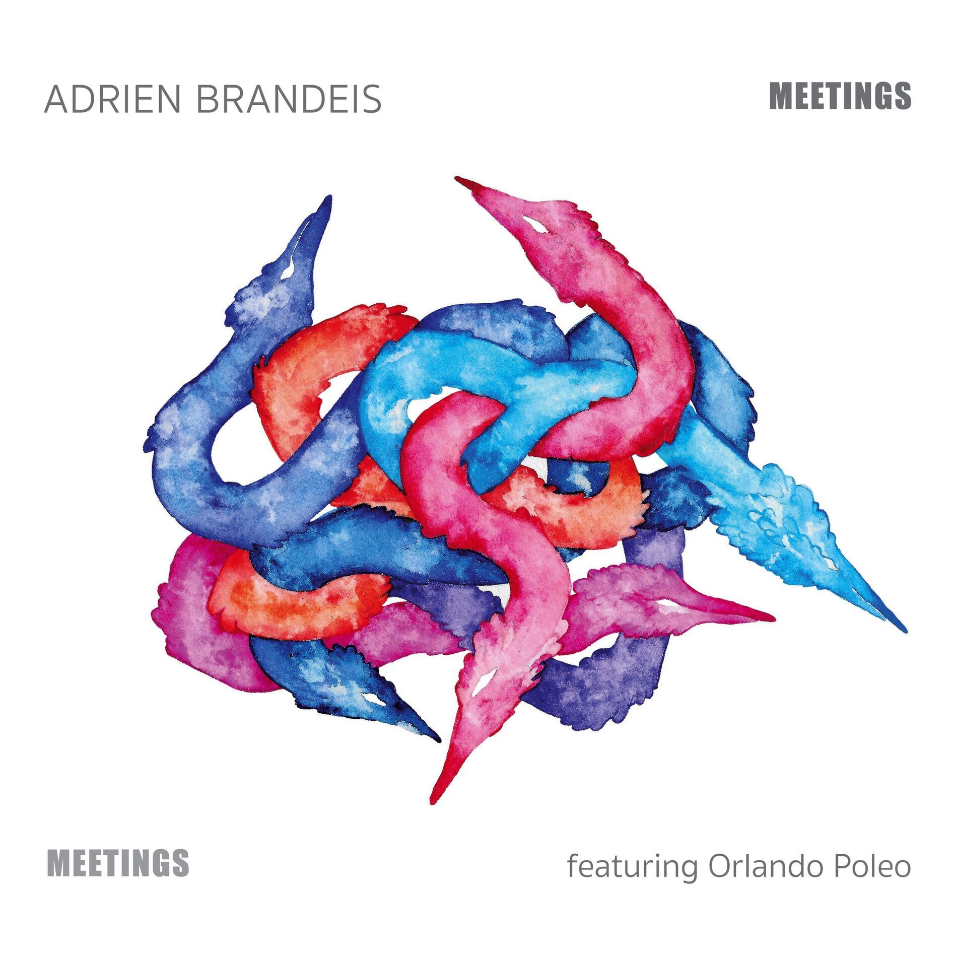 Artist picture of Adrien Brandeis