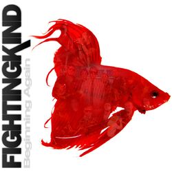 Picture of Fighting Kind