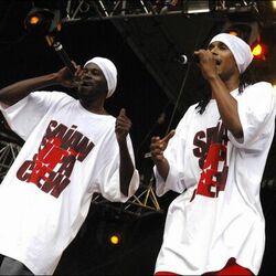 Picture of Saïan Supa Crew
