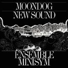 Ensemble Minisym