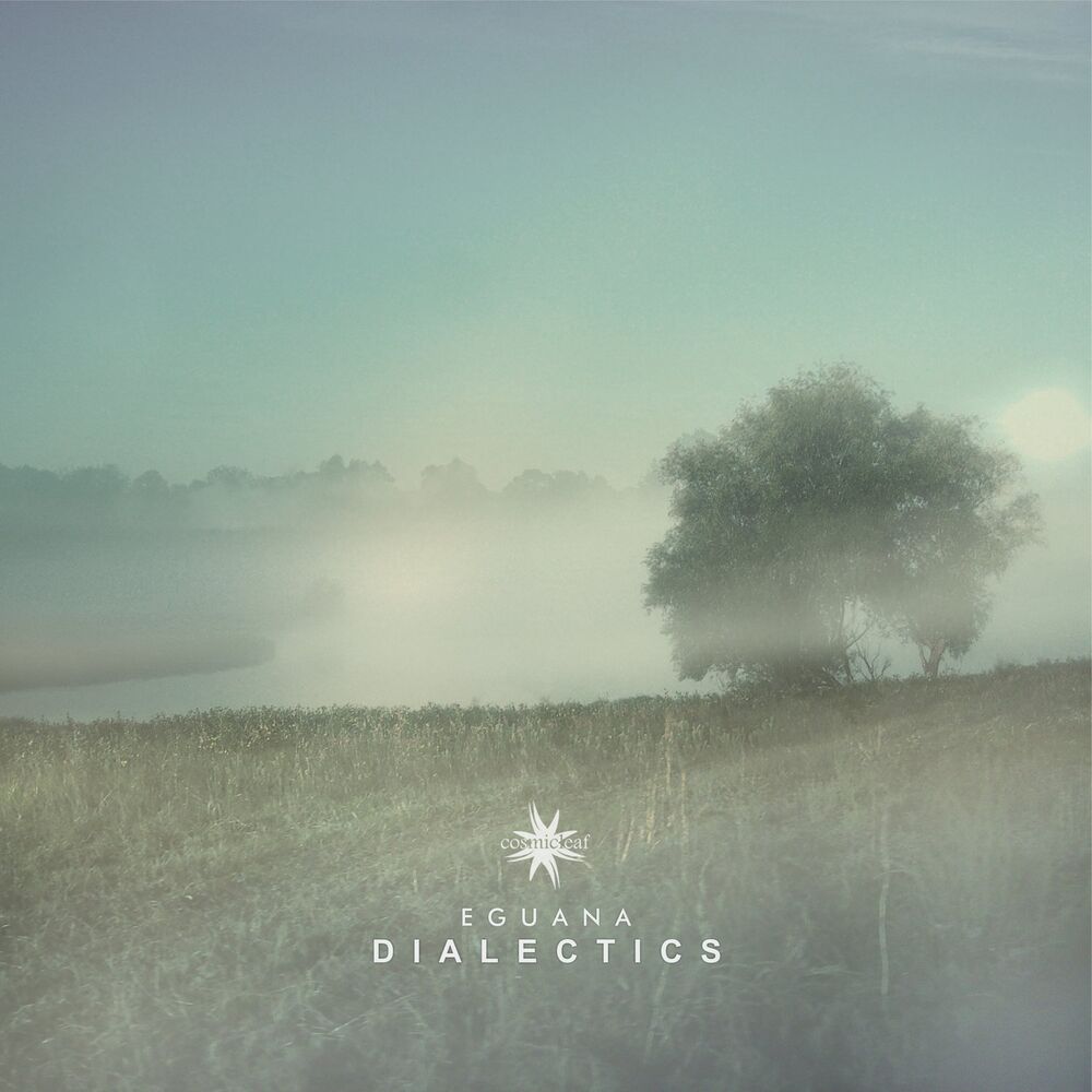 Photo de l'artiste Eguana