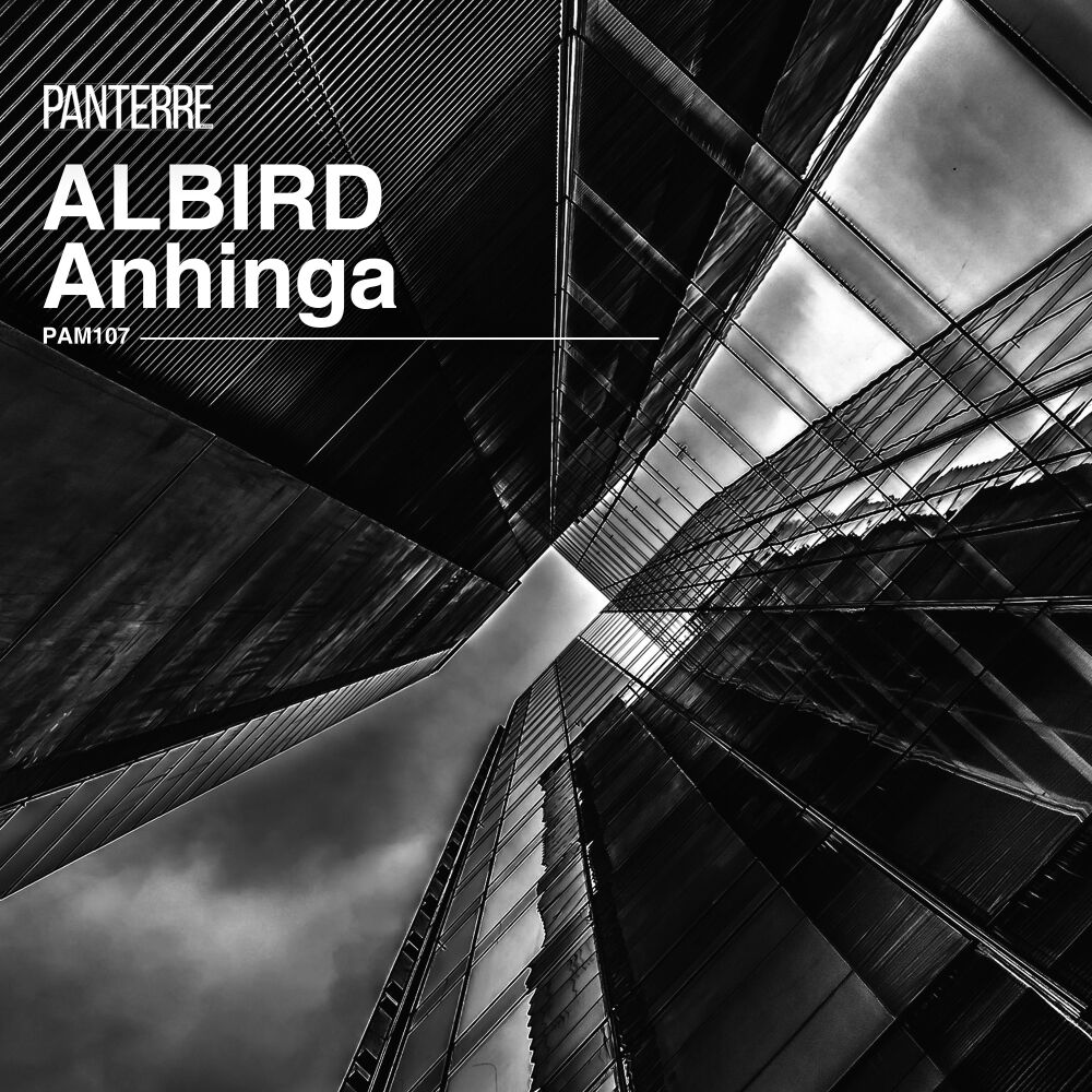Picture of AlBird