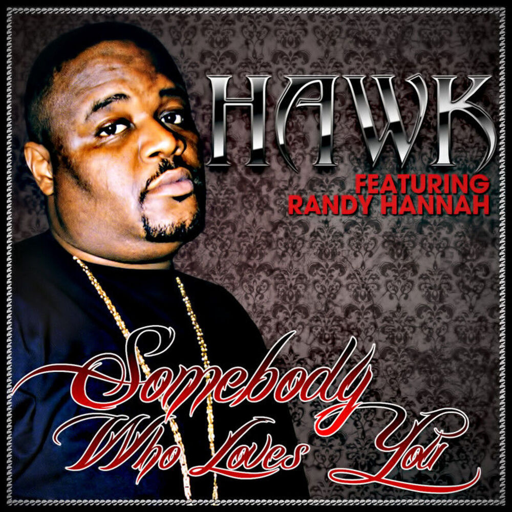 Picture of H.A.W.K.
