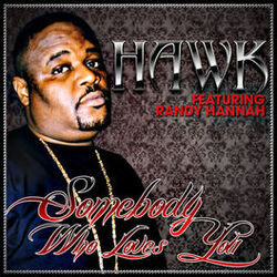 Picture of H.A.W.K.