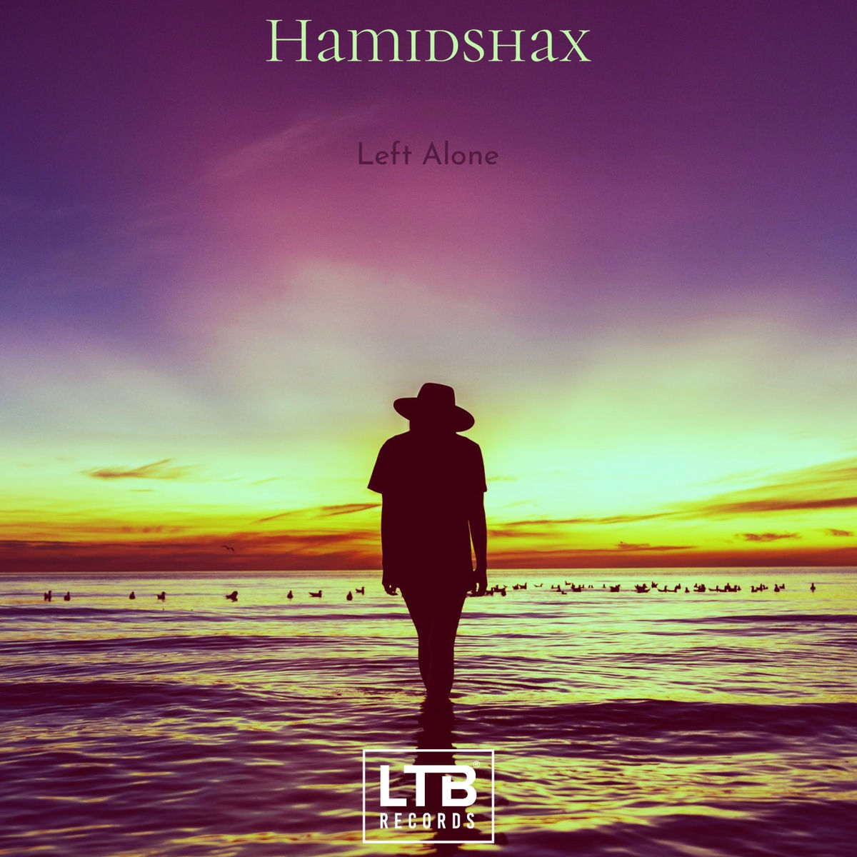 Hamidshax