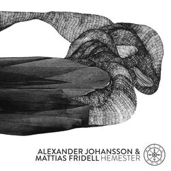 Picture of Alexander Johansson & Mattias Fridell