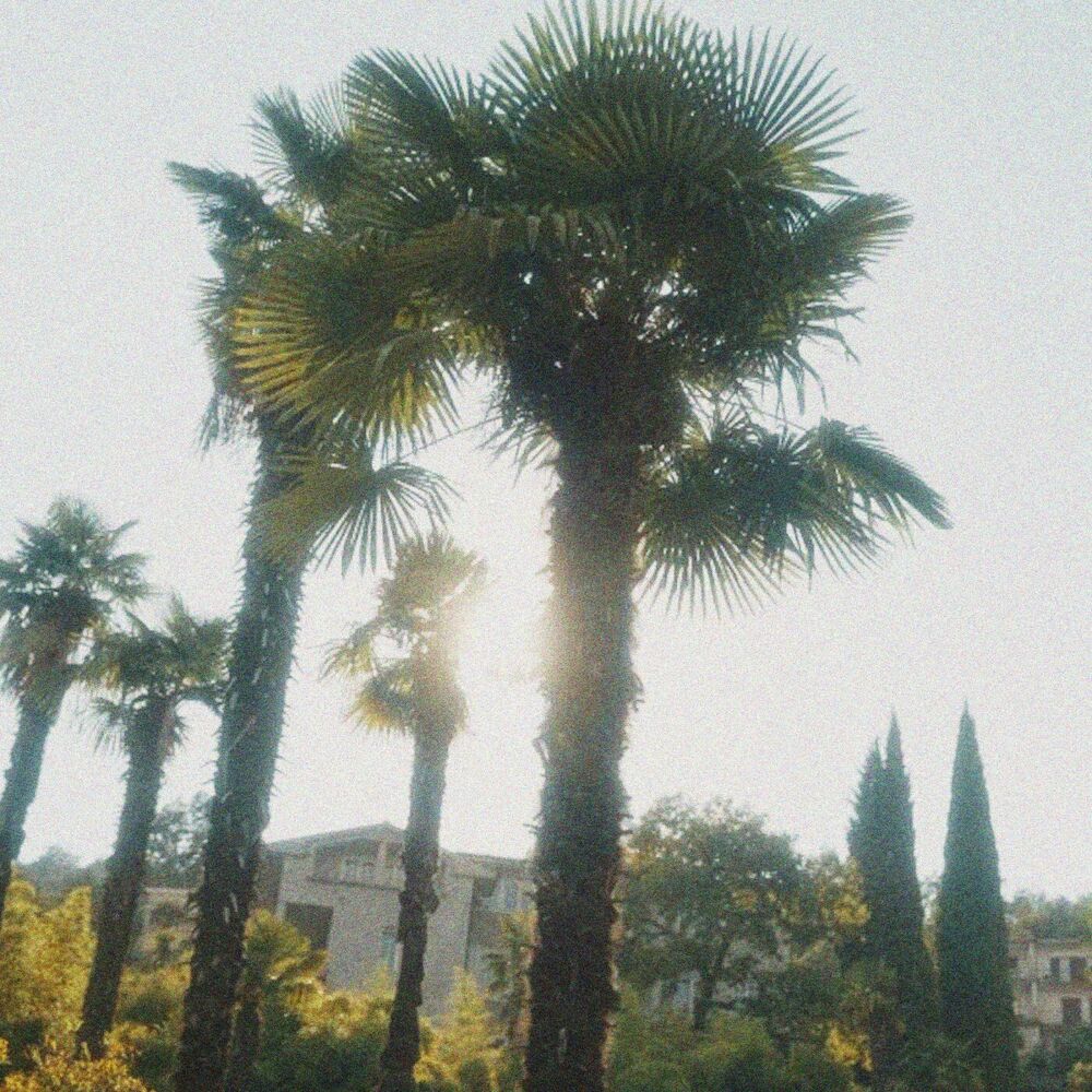 Picture of Ano