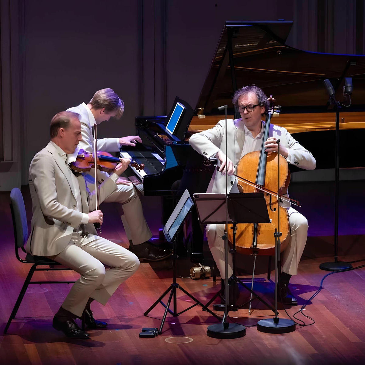 Artist picture of Storioni Trio