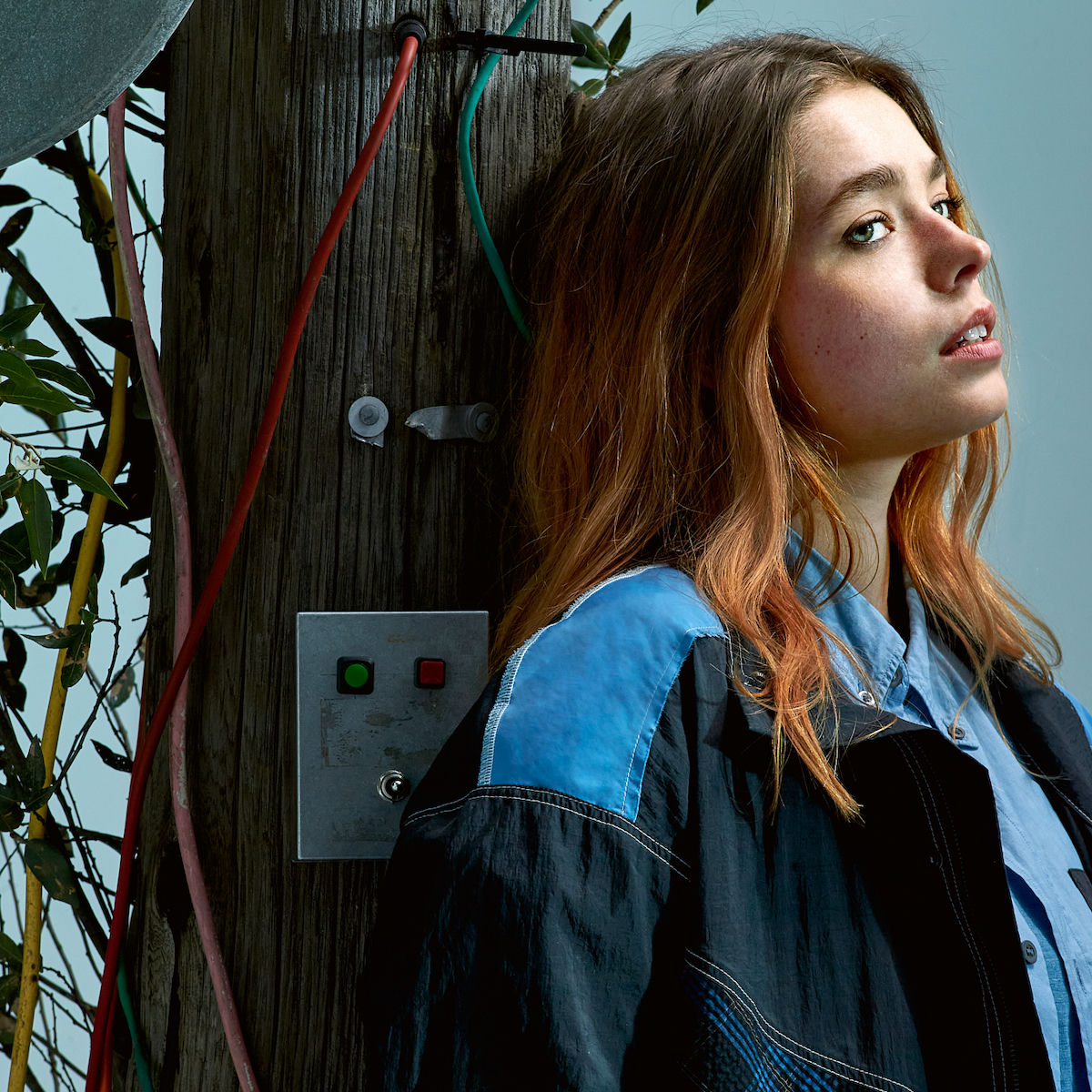 Artist picture of L Devine