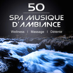 Picture of Oasis de Musique Zen Spa