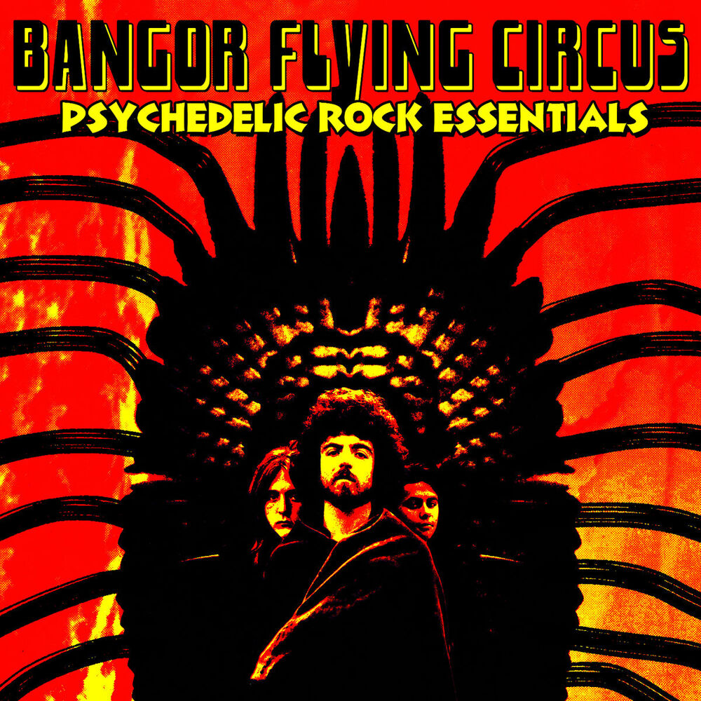 Picture of Bangor Flying Circus