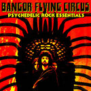 Bangor Flying Circus