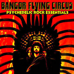 Picture of Bangor Flying Circus