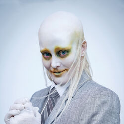 Picture of Fever Ray