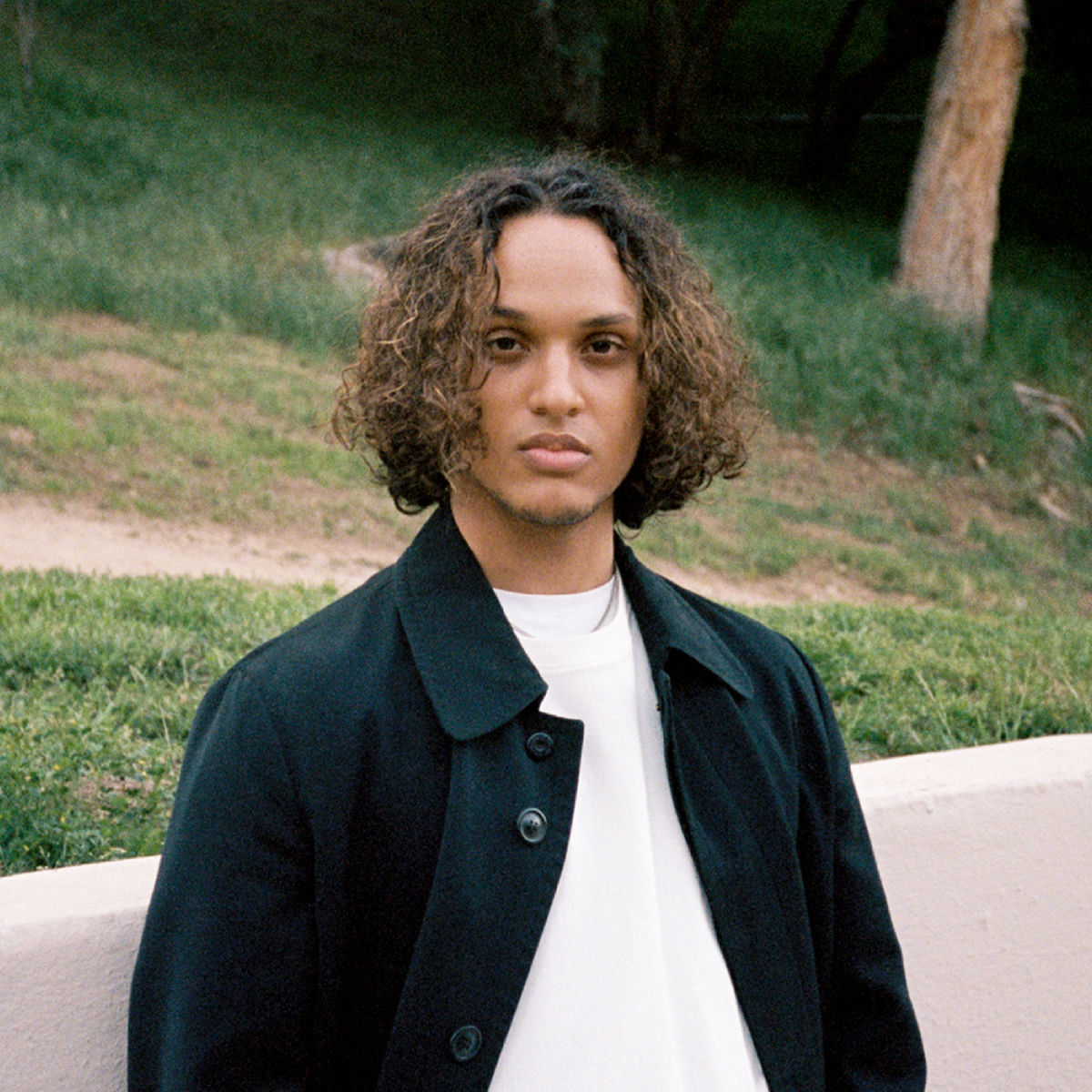 Artist picture of brando