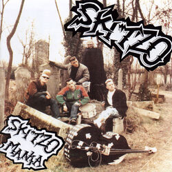 Picture of Skitzo