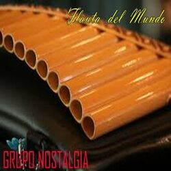 Picture of Grupo Nostalgia