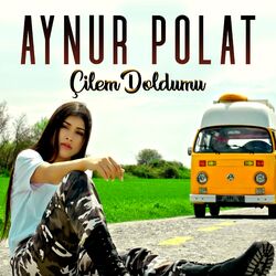 Picture of Aynur Polat