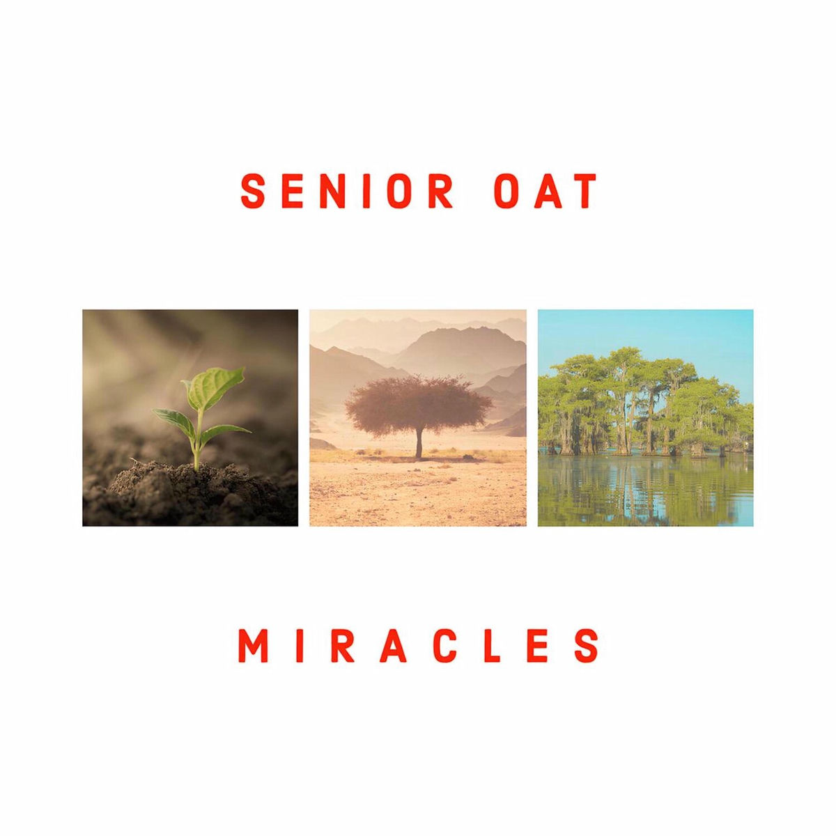 Senior Oat