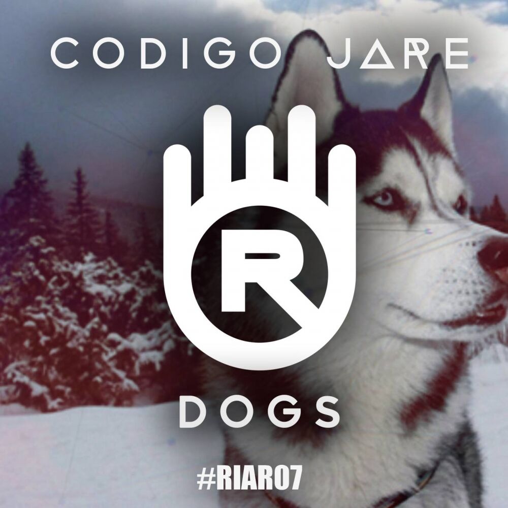 Picture of Codigo Jare