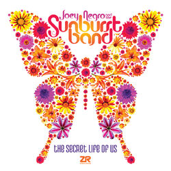 Picture of The Sunburst Band