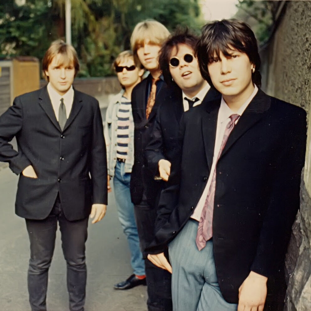 Picture of Clifters