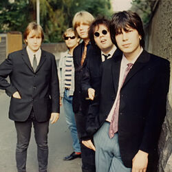 Picture of Clifters