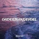 Zarfani