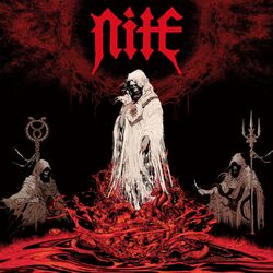 Picture of NiTE