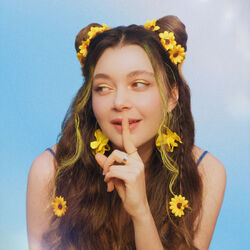 Picture of Sozi