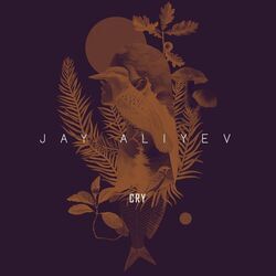 Jay Aliyev