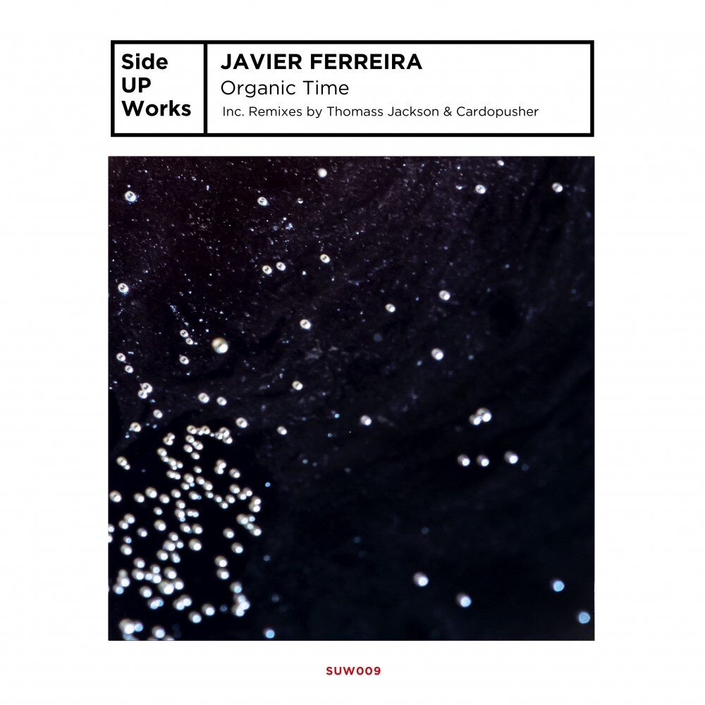 Picture of Javier Ferreira