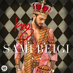 Picture of Sami Beigi