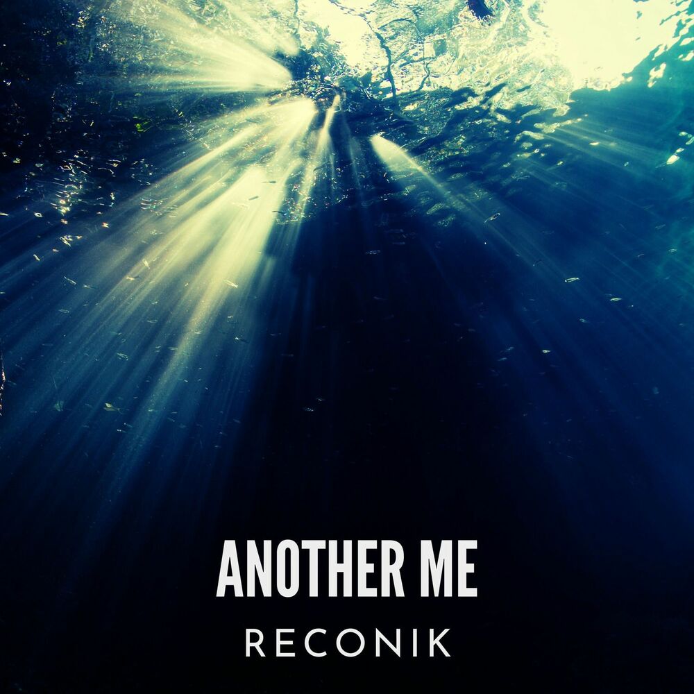 Picture of Reconik