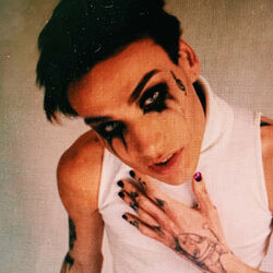 Picture of Xolidayboy