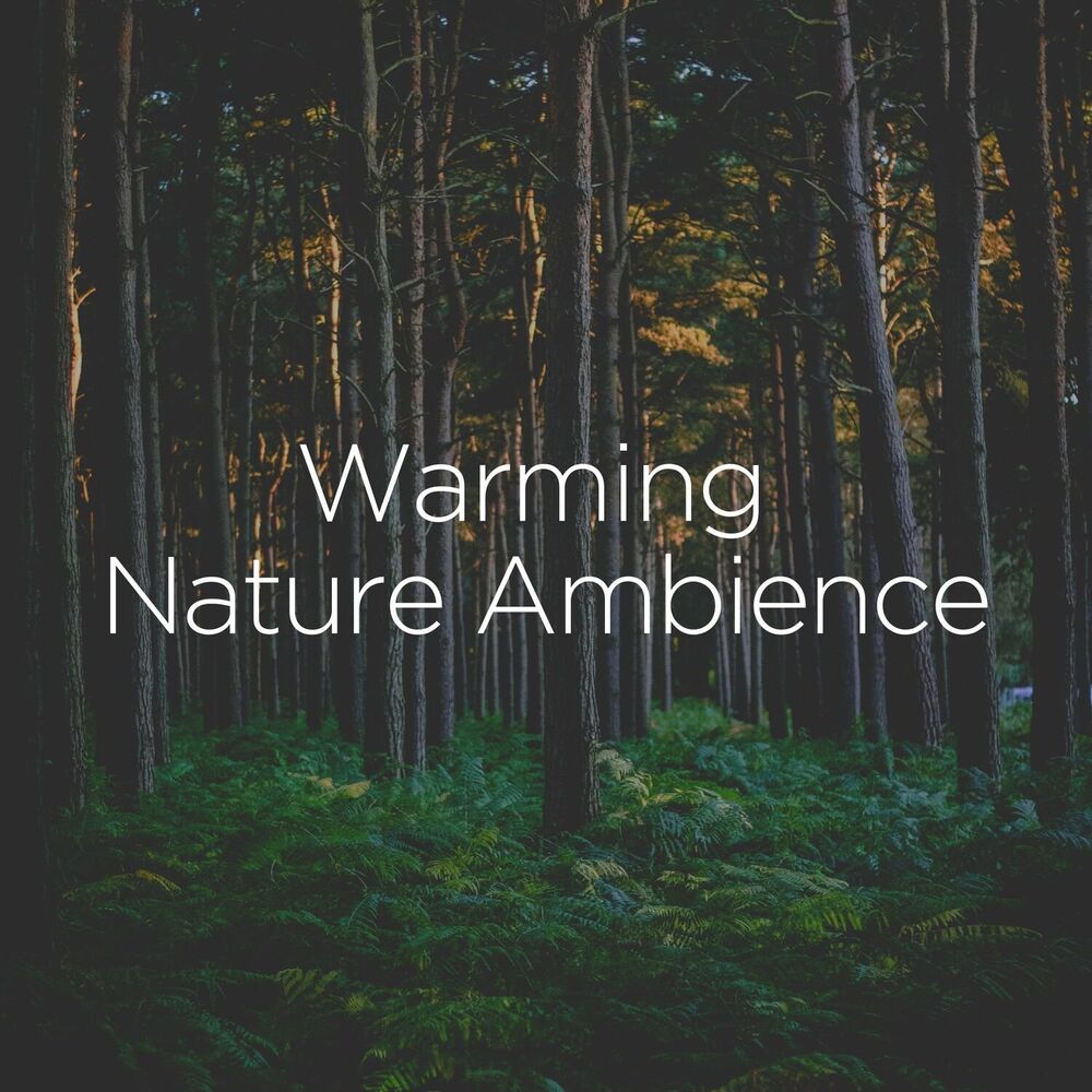 Picture of Nature Sleep